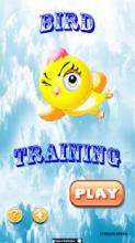 Bird Training截图4