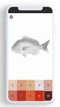 Fish Color By Number, pixel fish coloring截图4