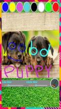 Puppy Paint - Game Painting for Kids截图1