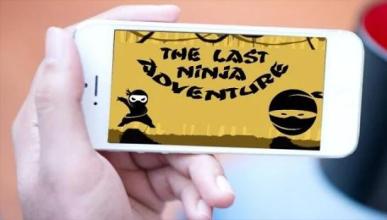 The Last Ninja Adventure截图5