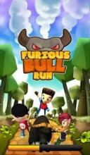 Furious bull run截图4