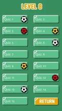 World Cup Football Quiz Game截图3