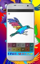 Bird Draw Color By Number Pixel Art 2018截图2