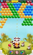 Rakun Rescue  Bubble Shooter Saga截图2