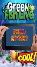 Green Fish Live - Game Ikan Seru截图4