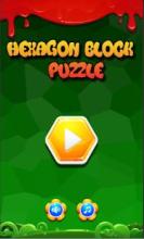 Hexagon Block Puzzle截图5