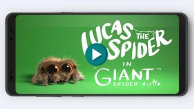 Lucas Spider Music截图2