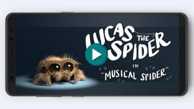 Lucas Spider Music截图4