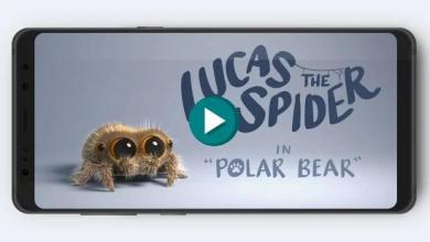 Lucas Spider Music截图3