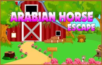 Best Escape Games - Arabian Horse截图4