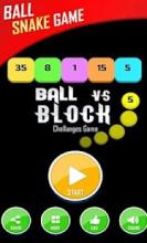 Block Snake-Ball截图3