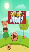 Yorkie Jump截图5