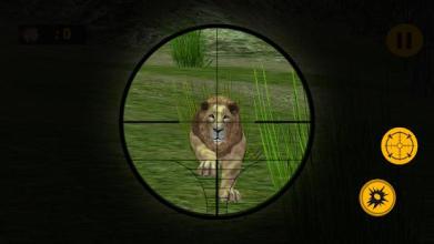 Wild Forest Lion Hunting截图5