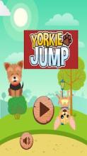 Yorkie Jump截图1