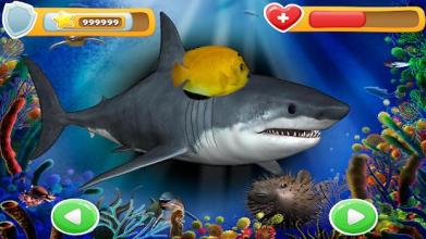 Finding Fish NemoNia截图1