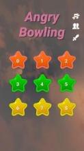 Angry Bowling(Crazy Bowling, Run Bowling, Bowling)截图1