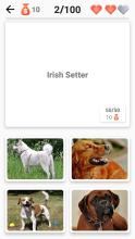 Dogs Quiz  Guess All Dog Breeds in the Photos截图4