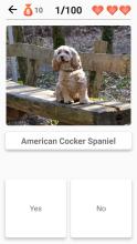 Dogs Quiz  Guess All Dog Breeds in the Photos截图2