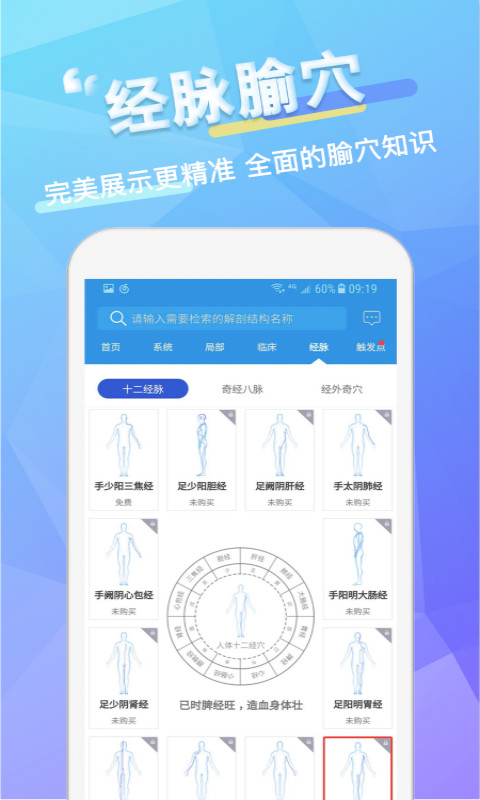 維薩里3D解剖截圖預覽