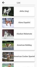 Dogs Quiz  Guess All Dog Breeds in the Photos截图5