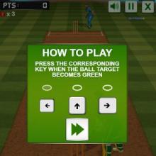 Cricket Challenge截图2