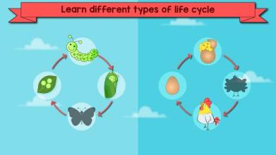 Kids Preschool Learning: Primary School Games截图5