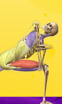 3Dbody截圖