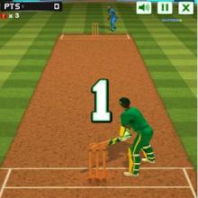 Cricket Challenge截图5