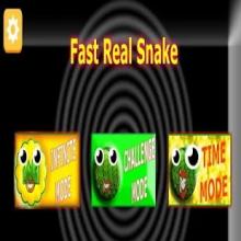 Fast Real Snake截图1