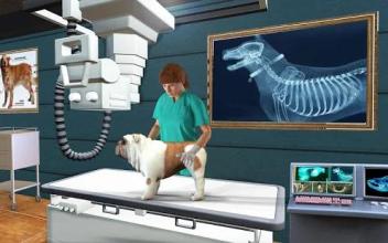 Pet Hospital Simulator 2018 - Pet Doctor Games截图4