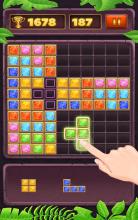 Blck Puzzl  Classc Puzzl Gam截图1