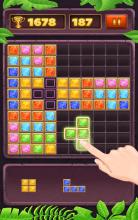 Blck Puzzl  Classc Puzzl Gam截图5