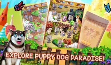 Puppy Dog Pop - Bubble Shoot Mania截图4