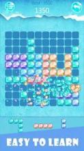 Block Puzzle - Ice Crush截图3