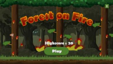 Forest on Fire截图5