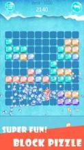 Block Puzzle - Ice Crush截图4