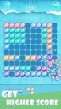 Block Puzzle - Ice Crush截图1