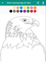 Birds Coloring Page for Kids截图4