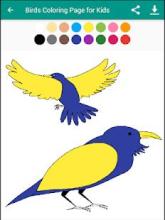 Birds Coloring Page for Kids截图2