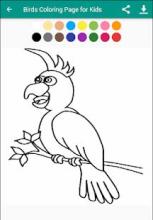 Birds Coloring Page for Kids截图3