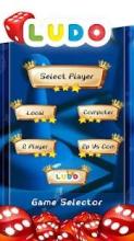 Ludo Players - Dice Board Game截图3
