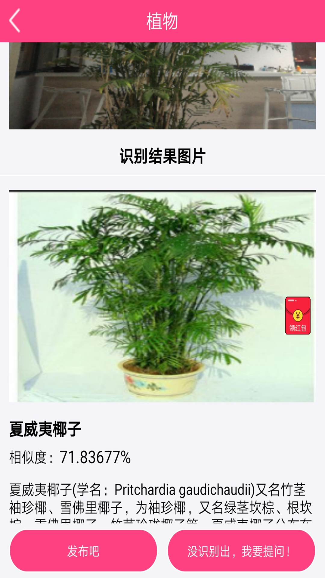 拍照識(shí)物截圖預(yù)覽