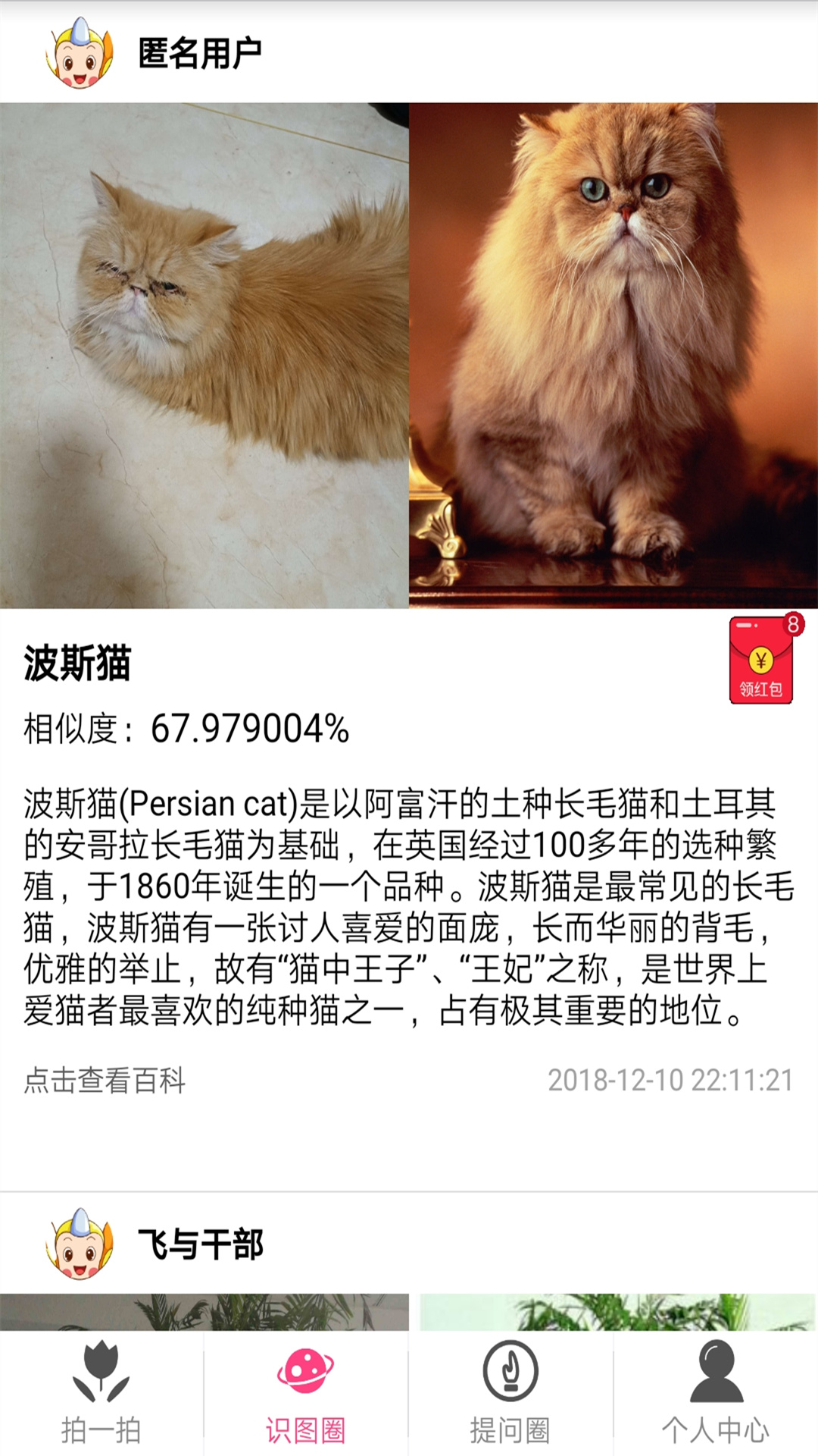 拍照識(shí)物截圖預(yù)覽