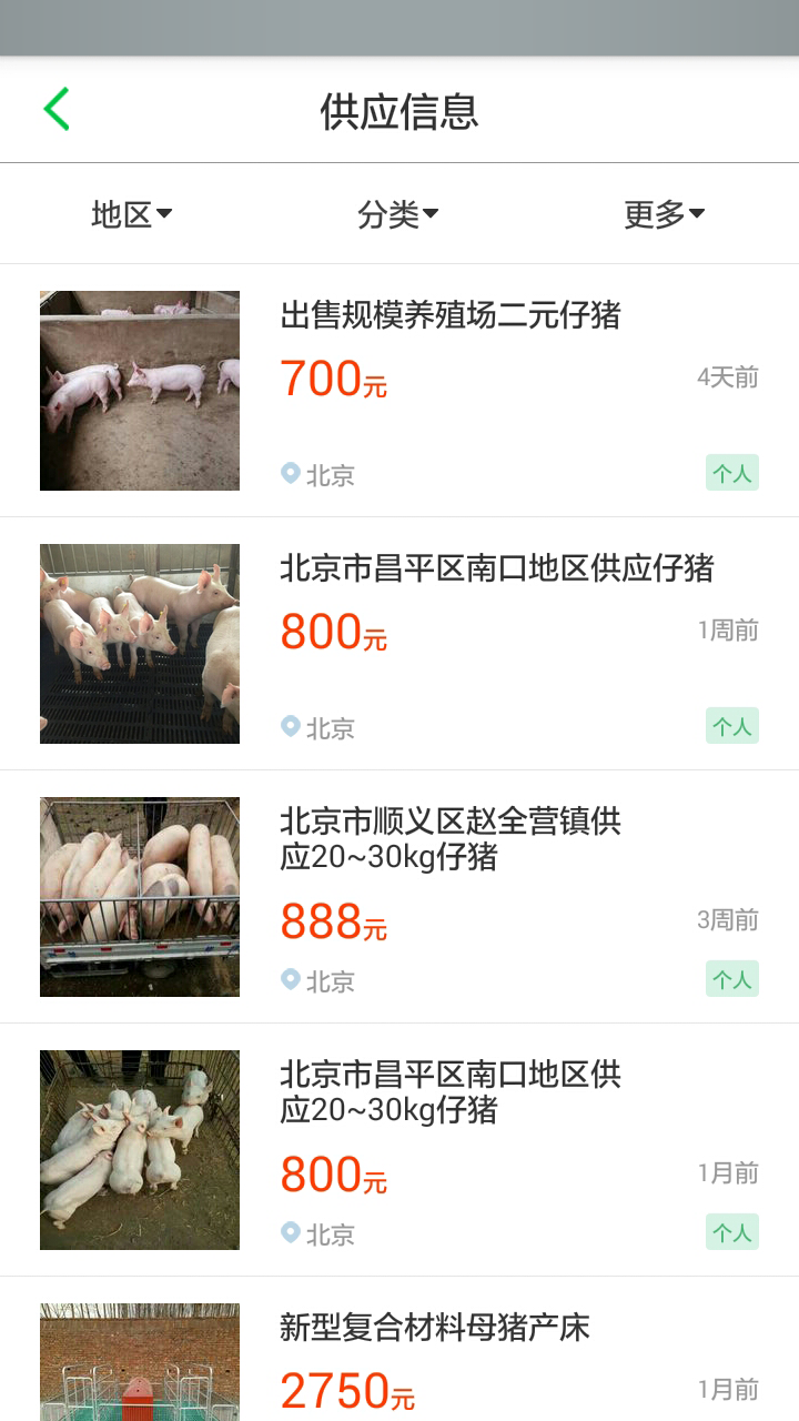 豬邦忙截圖預覽