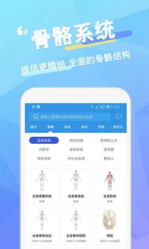 维萨里3D解剖截图