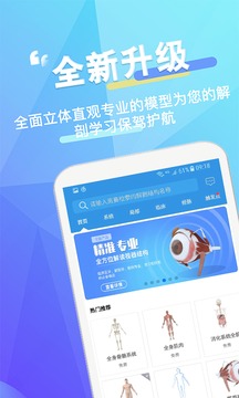 维萨里3D解剖截图