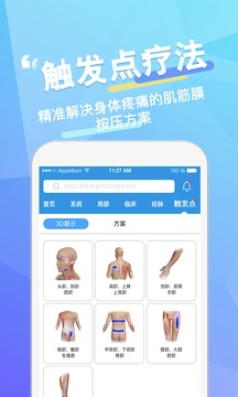 维萨里3D解剖截图