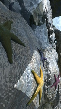 安兔兔評(píng)測(cè)3D截圖