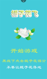 栀子花飞截图4