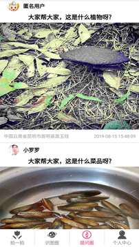 拍照識(shí)物截圖